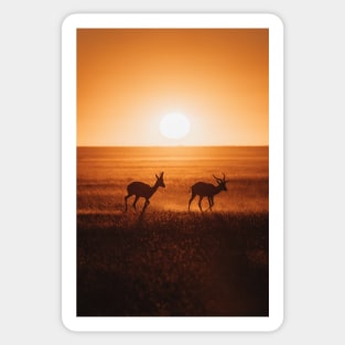 Safari Sunset Sticker